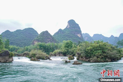 廣西大新 游客畫中游