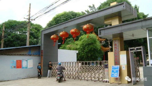 廣西一高校要求學(xué)生賣20箱芒果,銷量不好可能畢不了業(yè)