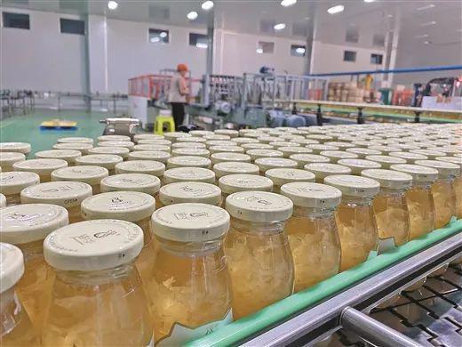 南疆邊城建新功