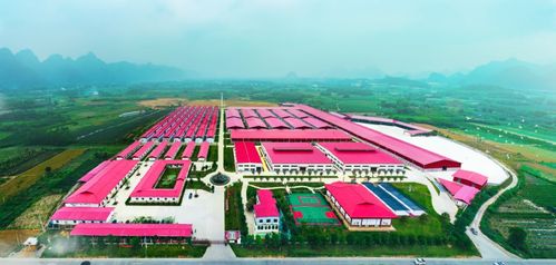 貓千歲 健全 電商基因 走俏網(wǎng)絡(luò)