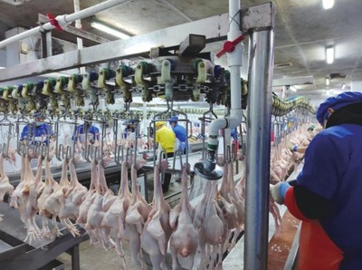 從食品安全到鄉(xiāng)村振興 廣西的成功之路